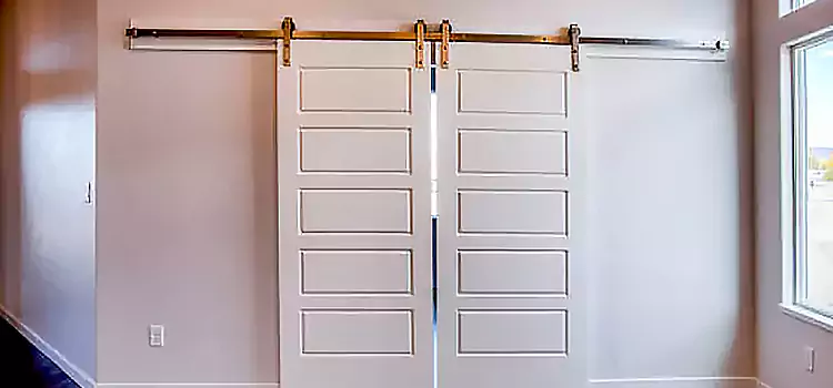 Glass Barn Door with Installation Hardware Kit Ennis
